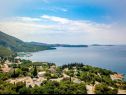Appartements et chambres Villa Bouganvillea - sea view & garden: A1 Deluxe (2+1), A2 Superior (2+1), A3 Comfort (2+1), A4 Premium (2+1), R1 Deluxe (2), R2 Comfort (2) Mlini - Riviera de Dubrovnik  - vue sur la mer (maison et environs)