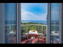 Appartements et chambres Villa Bouganvillea - sea view & garden: A1 Deluxe (2+1), A2 Superior (2+1), A3 Comfort (2+1), A4 Premium (2+1), R1 Deluxe (2), R2 Comfort (2) Mlini - Riviera de Dubrovnik  - Appartement - A3 Comfort (2+1): terrasse