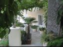 Maisons de vacances Villa Marija - terrace H(6) Trsteno - Riviera de Dubrovnik  - Croatie  - cour (maison et environs)