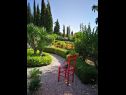 Appartements Silverija - garden and parking: SA1(2+1), SA2(2), SA3(2), SA4(2) Trsteno - Riviera de Dubrovnik  - jardin