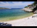 Appartements Sea View - 7 m from beach: A1(5+1) Baie Zarace (Gdinj) - Île de Hvar  - Croatie  - plage