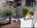 Maisons de vacances Bruna - rustic stone house : H(6) Krsan - Istrie  - Croatie  - jardin