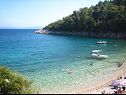 Maisons de vacances Josip - private swimming pool: H(2+2) Labin - Istrie  - Croatie  - plage
