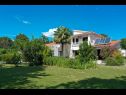 Maisons de vacances Martina - large luxury villa: H(8+2) Labin - Istrie  - Croatie  - cour