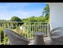 Maisons de vacances Martina - large luxury villa: H(8+2) Labin - Istrie  - Croatie  - H(8+2): terrasse
