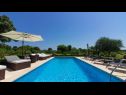 Maisons de vacances Kova - private pool: H(8+2) Liznjan - Istrie  - Croatie  - piscine