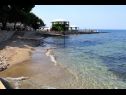 Appartements Eli - 50m from the sea: A3(4) Umag - Istrie  - plage