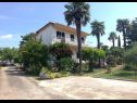 Appartements Eli - 50m from the sea: A3(4) Umag - Istrie  - maison