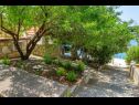 Appartements Lukovac - directly at the beach: A1(6), A2(2+2) Blato - Île de Korcula  - maison