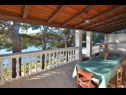 Appartements Lukovac - directly at the beach: A1(6), A2(2+2) Blato - Île de Korcula  - Appartement - A1(6): terrasse