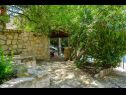 Appartements Lukovac - directly at the beach: A1(6), A2(2+2) Blato - Île de Korcula  - Appartement - A2(2+2): maison