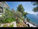 Maisons de vacances Momento - peaceful resort : H(10) Blato - Île de Korcula  - Croatie  - vue