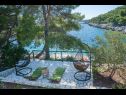 Maisons de vacances Momento - peaceful resort : H(10) Blato - Île de Korcula  - Croatie  - terrasse de jardin