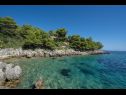 Maisons de vacances Momento - peaceful resort : H(10) Blato - Île de Korcula  - Croatie  - maison