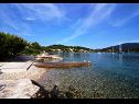 Maisons de vacances Gradina 1 - private pool: H(10+2) Baie Gradina (Vela Luka) - Île de Korcula  - Croatie  - plage