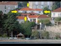 Appartements Vedro - 50 m from sea: 1- Red(4+1), 2 - Purple(2+1), 3 - Blue(2), 4 - Green(2+2) Korcula - Île de Korcula  - maison
