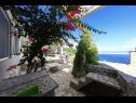 Maisons de vacances Doria - perfect location & peaceful: H(3+1) Baie Stiniva (Vela Luka) - Île de Korcula  - Croatie  - cour