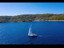 Maisons de vacances Doria - perfect location & peaceful: H(3+1) Baie Stiniva (Vela Luka) - Île de Korcula  - Croatie  - détail