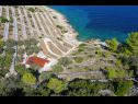 Maisons de vacances Doria - perfect location & peaceful: H(3+1) Baie Stiniva (Vela Luka) - Île de Korcula  - Croatie  - végétation (maison et environs)