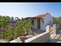 Maisons de vacances Senka1 - pure nature & serenity: H(2) Baie Tudorovica (Vela Luka) - Île de Korcula  - Croatie  - maison