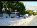 Appartements Toni - 150m from pebble beach: A1 veliki (5) Baska Voda - Riviera de Makarska  - plage