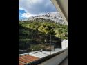 Appartements Villa Esse - heated pool & seaview: A1(2+2), A2(4+2), A3(2+2), A4(4+2), A5(2+2) Baska Voda - Riviera de Makarska  - Appartement - A2(4+2): vue de la terrasse