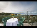 Appartements Panorama - terrace with sea view: A1(4) Brela - Riviera de Makarska  - Appartement - A1(4): terrasse