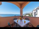 Appartements Ruze - 200 m from sea : A1(6+1), A2(8+1) Brela - Riviera de Makarska  - Appartement - A2(8+1): terrasse