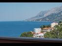 Appartements Ruze - 200 m from sea : A1(6+1), A2(8+1) Brela - Riviera de Makarska  - Appartement - A2(8+1): vue