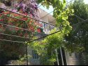 Appartements Secret garden - seaview: A1(4), A2(2) Brela - Riviera de Makarska  - maison
