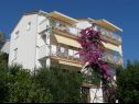 Appartements Kate - 20m from the beach: A1(2+2), A2(2+2) Brist - Riviera de Makarska  - maison