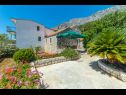 Appartements Horizont - 150 m from pebble beach: A1-Filip(4+2), A2-Mario(4+2) Brist - Riviera de Makarska  - maison
