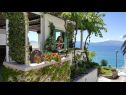 Appartements Sea View - cosy & comfortable: A2 Zaborke(4), A4 Somina(2+2) Brist - Riviera de Makarska  - maison