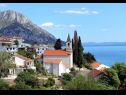 Appartements Jure - terrace with amazing sea view: A1 Leona (6+2), A2 Ivano (6+2) Brist - Riviera de Makarska  - végétation (maison et environs)