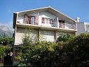 Appartements Nik - 50 M from the sea : A1(2+1), A2(2) Gradac - Riviera de Makarska  - maison