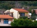 Appartements Bianca - very nice sea view: A1 Blanka(2+2) Igrane - Riviera de Makarska  - maison