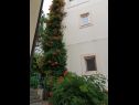 Appartements Durda1 - 50 m from beach: A1(2+2), B2(2+2), C3(2+1) Igrane - Riviera de Makarska  - maison