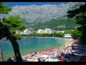 Appartements Sunny - quiet and relaxing A1(2+2), A2(2+1) Makarska - Riviera de Makarska  - plage
