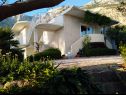 Appartements Viki - seaview & garden terrace: A1(6) Makarska - Riviera de Makarska  - maison