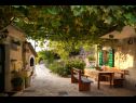 Maisons de vacances Mirta - rustic villa: H(4+2) Podgora - Riviera de Makarska  - Croatie  - terrasse de jardin
