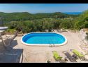 Maisons de vacances Stone - pool house: H(4) Babino Polje - Île de Mljet  - Croatie  - piscine (maison et environs)