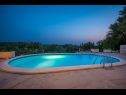 Maisons de vacances Stone - pool house: H(4) Babino Polje - Île de Mljet  - Croatie  - piscine