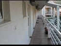 Appartements Boro - sea view SA1(3), SA2(3), SA3(3) Dugi Rat - Riviera de Omis  - terrasse