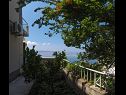 Appartements Iva - with beautiful view: A1(4+1) Omis - Riviera de Omis  - verdure (maison et environs)