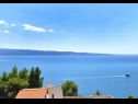 Appartements Sea View - 250 m from sea: A1 Grande(7+1), A2 Vila Jadrana(2+1) Suhi Potok - Riviera de Omis  - vue