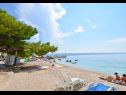 Appartements Neva - 50m from the sea A1(2+1), A2(2+1), SA3(3) Sumpetar - Riviera de Omis  - plage