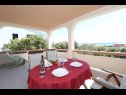 Appartements Mare-200 m from the beach A1(2+2), A2(4), A3(2) Mandre - Île de Pag  - Appartement - A1(2+2): terrasse