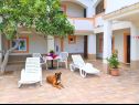 Appartements PoolHouse - close to the sea: A3(3), A4(2), A5(2), A1(4), A2(4) Metajna - Île de Pag  - Appartement - A5(2): terrasse