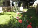 Appartements Ivo - with nice garden: A1(4), A2(4), A3(2) Pag - Île de Pag  - jardin