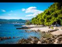 Maisons de vacances Lidi - 30 m from beach: H(6+2) Orebic - Péninsule de Peljesac  - Croatie  - détail (maison et environs)